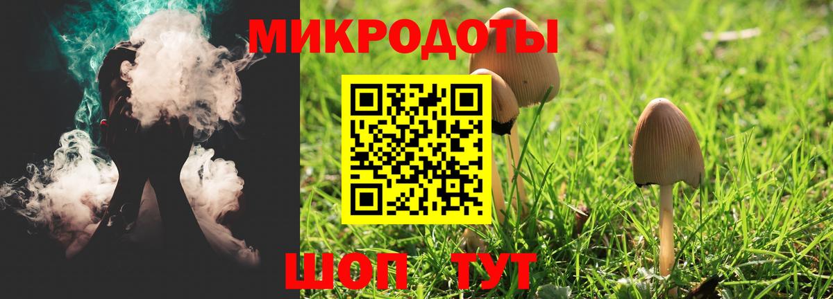 Галлюциногенные грибы Cubensis  Вход с VPN  Муравленко 